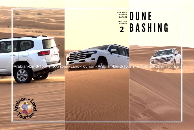 Dune Bashing